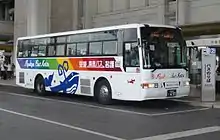 高速バス用の車両。貸切バスカラーをベースにイラストや標記が入る。
