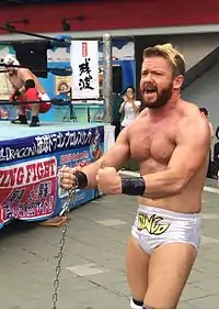 ディンゴの画像