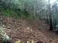 愛宕堂参道にある江戸期以前（鎌倉期以降）の石垣の全景