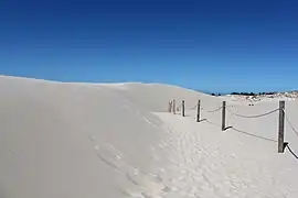 ポモージェ地方の大砂丘