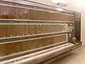 古代エジプトのパピルスの巻物。オーストリア国立図書館蔵。