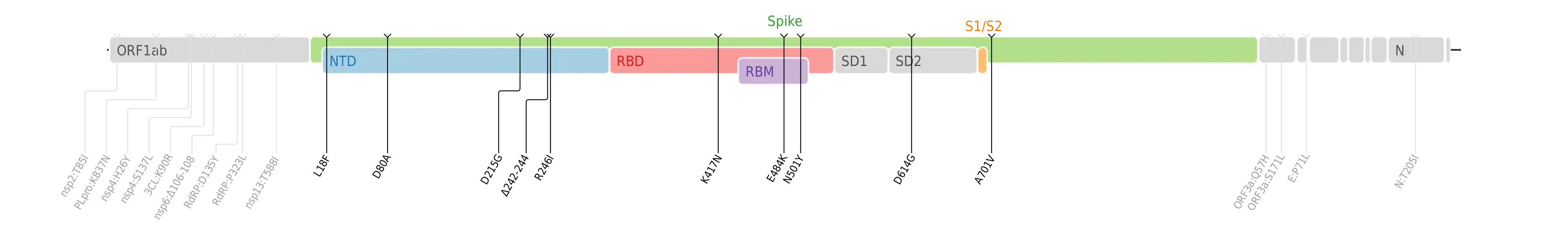 スパイクタンパク質に焦点を当てたSARS-CoV-2のゲノムマップ上にプロットされたベータ株のアミノ酸変異。