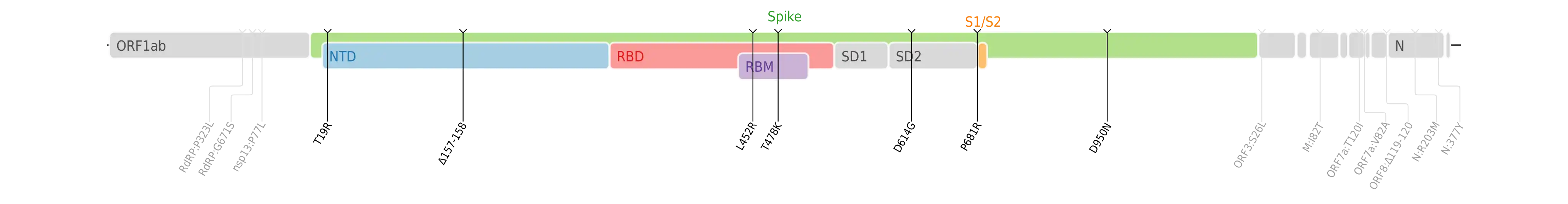 スパイクタンパク質に焦点を当てたSARS-CoV-2のゲノムマップ上にプロットされたデルタ株のアミノ酸変異。