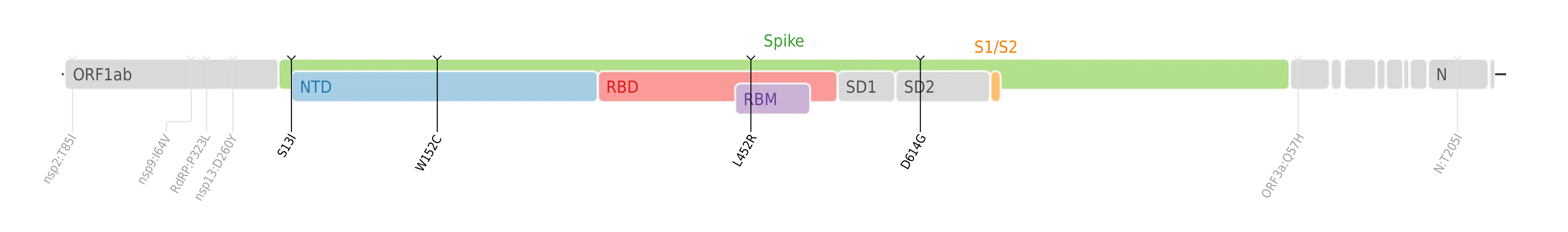 スパイクタンパク質に焦点を当てたSARS-CoV-2のゲノムマップ上にプロットされたイプシロン株のアミノ酸変異。