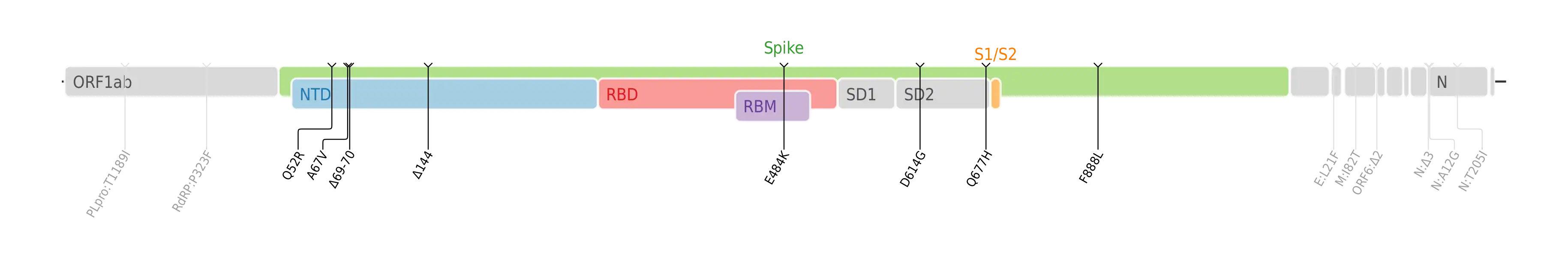 スパイクタンパク質に焦点を当てたSARS-CoV-2のゲノムマップ上にプロットされたイータ株のアミノ酸変異。