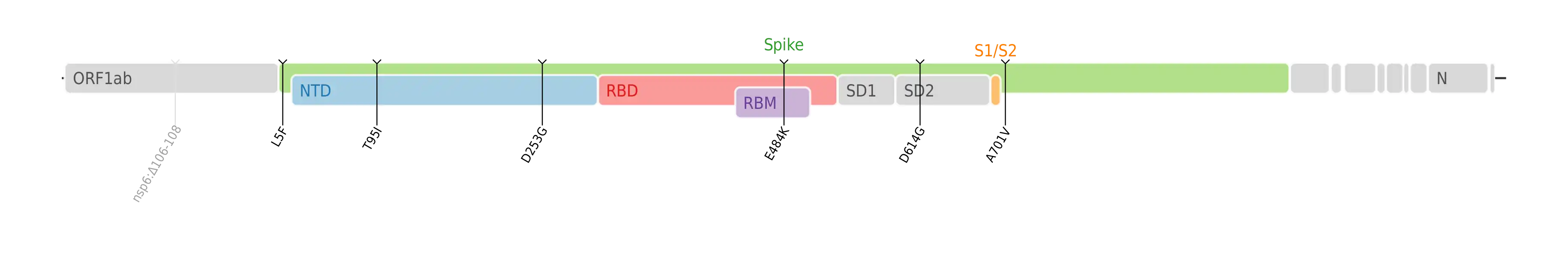 スパイクタンパク質に焦点を当てたSARS-CoV-2のゲノムマップ上にプロットされたイオタ株のアミノ酸変異。