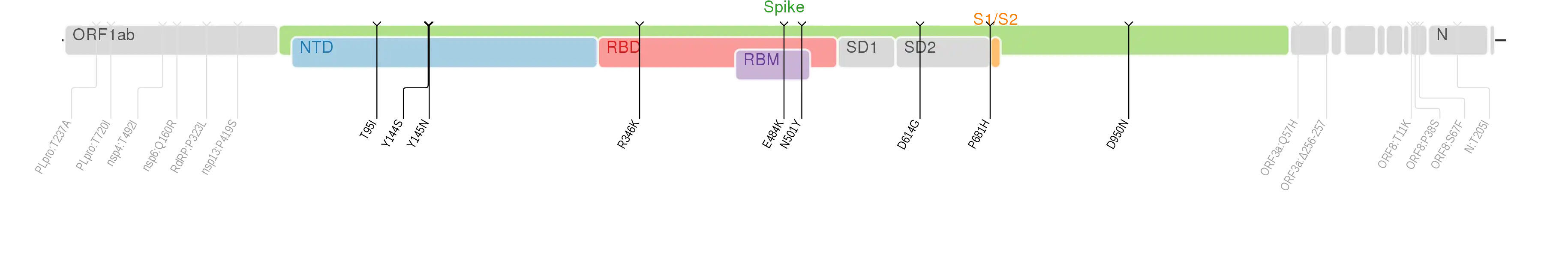 スパイクタンパク質に焦点を当てたSARS-CoV-2のゲノムマップ上にプロットされたミュー株のアミノ酸変異。