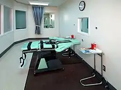 致死薬注射(薬殺刑)