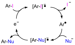 SRN1反応サイクル