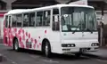 所沢営業所所属（S-216）跡見学園女子大学「さくらの学バス」