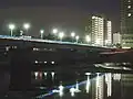 相模大橋の夜景。海老名市側上流より撮影。