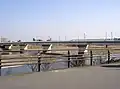 相模大橋。厚木市側上流より撮影。