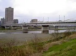 ゲルバー桁橋の例(相模大橋)