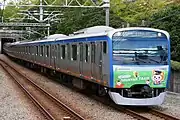 7代目そうにゃんトレイン（2020年10月20日、緑園都市駅）