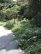 古宮隧道跡サイクリングロードはそのまま海岸線を佐賀関に向かって延びているが、水道管は途中で突然山の中に消える。その先には、やはりコンクリートブロックで塞がれたトンネルを発見することができる。廃線跡を辿るのであれば、道を辿るのではなく水道管を辿ることになる。