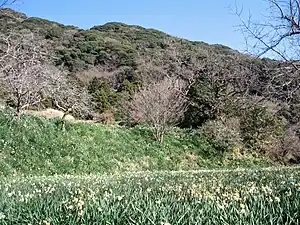 嵯峨山(315.5 m)
