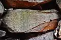 玄室奥壁の線刻画（魚形文）