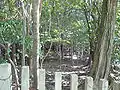 佐保山東陵の頭頂部/本丸の一部と想定