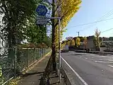 久喜市菖蒲町昭和沼付近