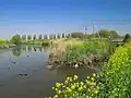 最下流。ここで芝川左岸に合流する。