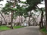 大宮公園