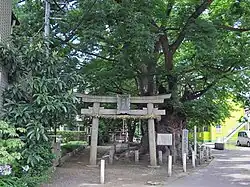大久保の大ケヤキ