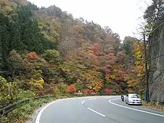 中津峡（2008年11月）
