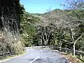 土坂峠付近(2009年10月)