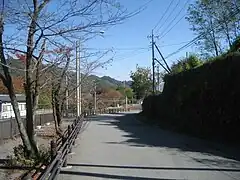 三峰口駅付近（2008年11月）