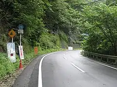 秩父市内（2009年8月）