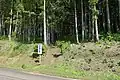 佐自塚古墳への入口（古墳の北側より）