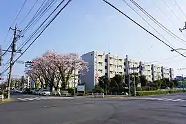 境川住宅と町田駅前通り(木曽東2丁目)