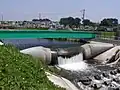境川(日本・神奈川県)