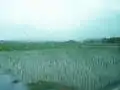 島ノ内