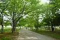奥の山古墳へ続く園路