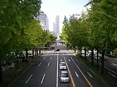 日銀前交差点歩道橋上から桜通のイチョウ並木を望む（西方向）。（中区丸の内、2012年（平成24年）11月）