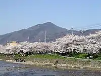 京都から望む比叡山(2005年4月)
