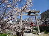 鳥居と桜。