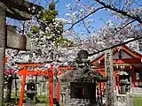 若宮神社と桜。