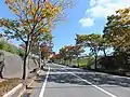 ハイタウン桜に通じる道路