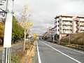 開発された丘陵（桜が丘2丁目）