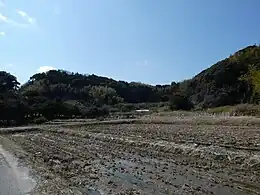 桜井城