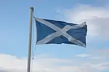 Flag with white diagonal cross on blue background flying from a pole