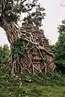 N18(プラサット・チュレイ、Prasat Chrey)