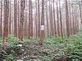 三の丸跡