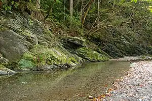 三波川 2009年9月撮影