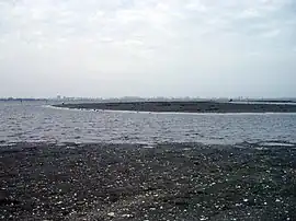三番瀬