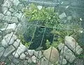 近世三田城時代の石組み井戸跡