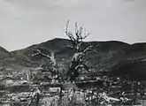 被爆直後（1945年当時）の姿