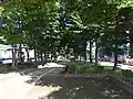 市役所北側の山王官公庁緑地